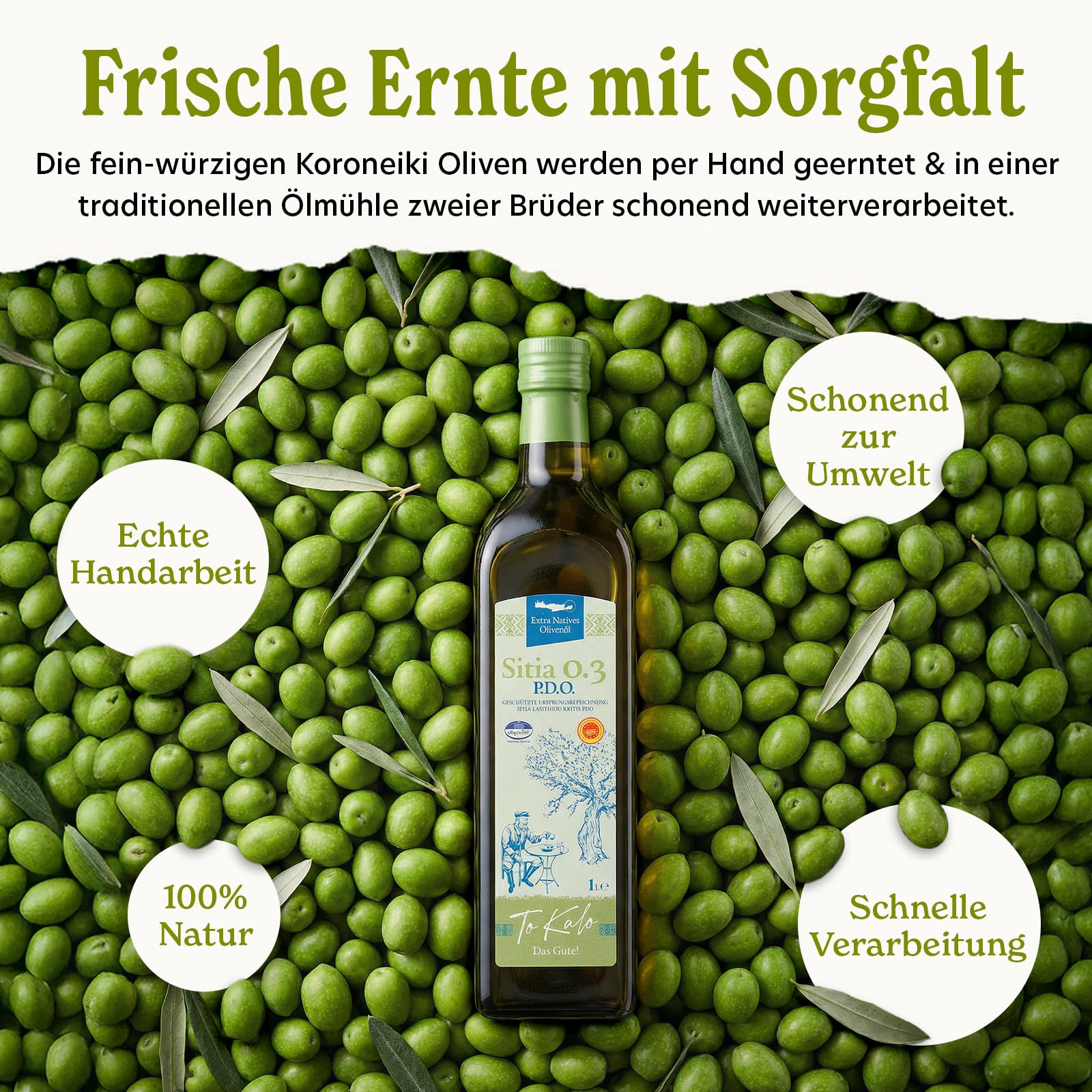 ToKalo Sitia Olivenöl 5L - 100% Koroneiki Oliven - neue Ernte 25/26 - extra nativ, kaltgepresst & laborgeprüft - mild-fruchtig - Handarbeit aus Kreta
