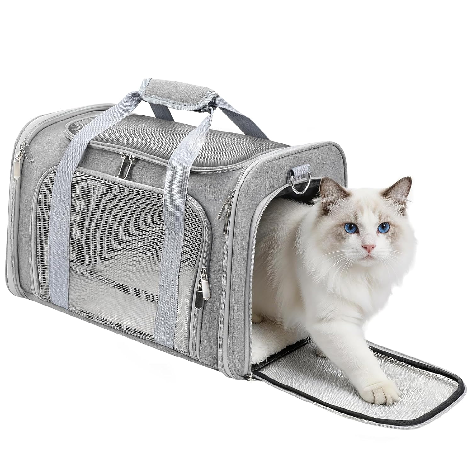 Cat Carrier Soft, Dog Carriers for Small Dogs/Large Cats (Up to 16lbs), with High Breathability, Shoulder Strap, Removable Pad, Pet Carrier Airline Approved, for Home Outdoor...