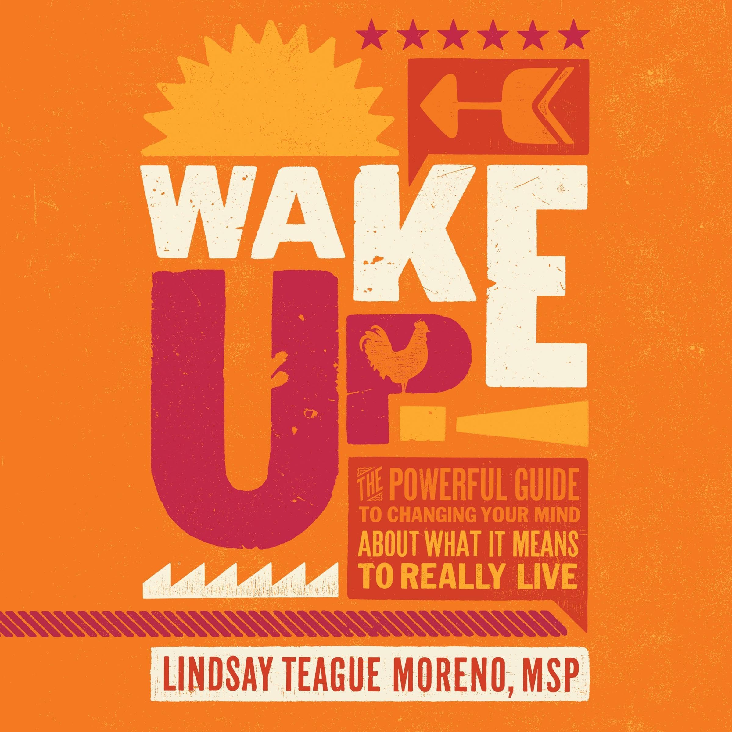 Cover art for Wake Up!