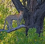 Review Image by SD Travel and Photo Guy SD Travel and Photo Guy