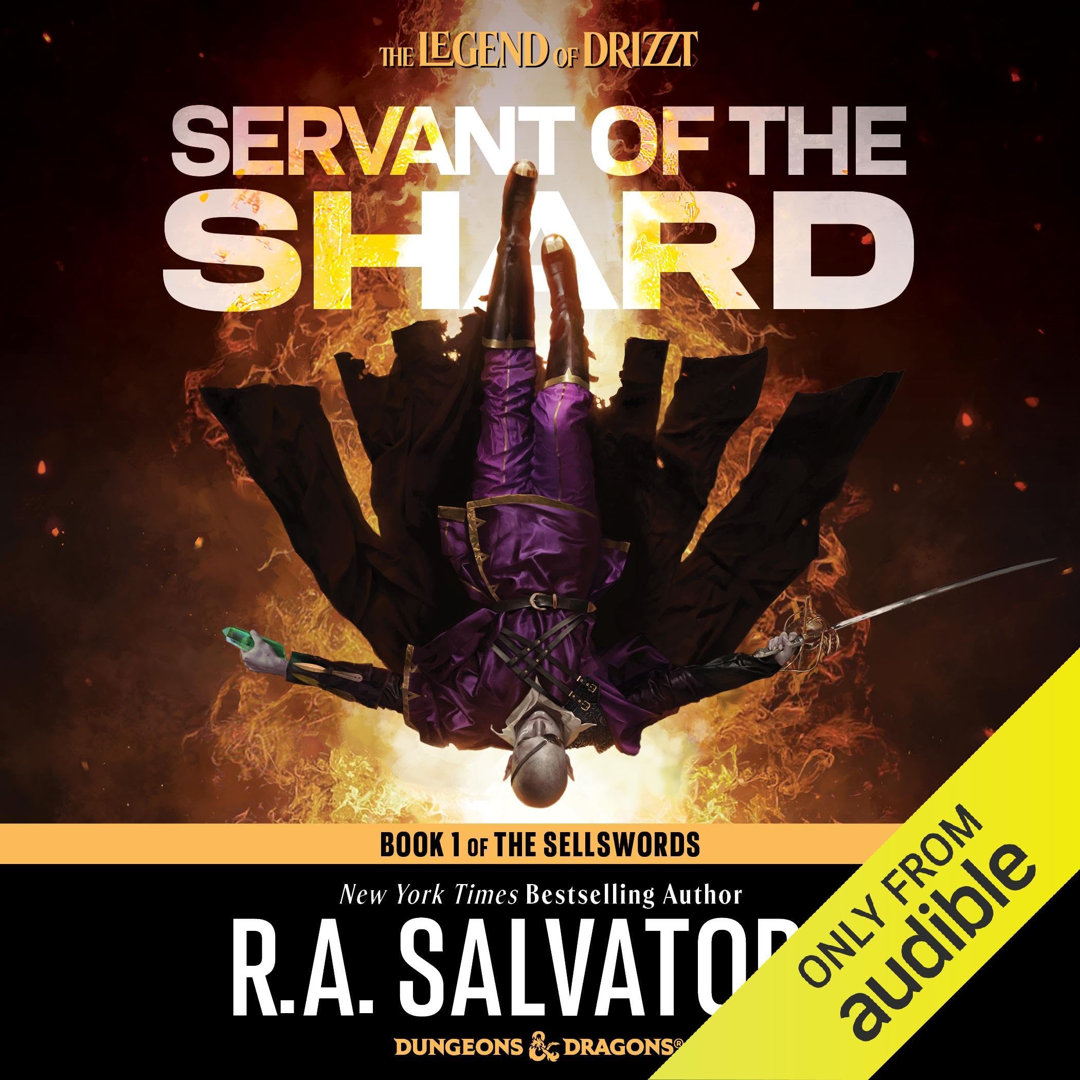 Cover art for Servant of the Shard