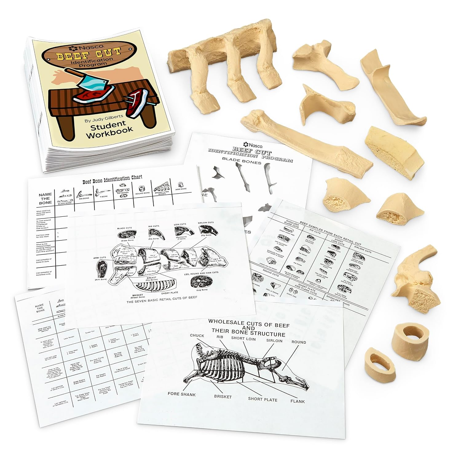 Nasco W09875 Beef Cut Identification Program - Educational Tool for 7-12 Grade