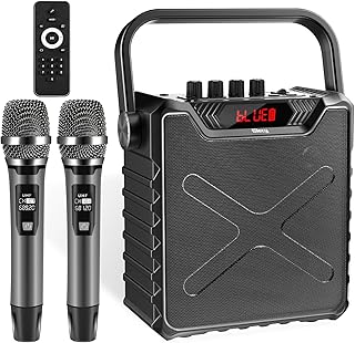 Coluna PA portátil com microfone wireless