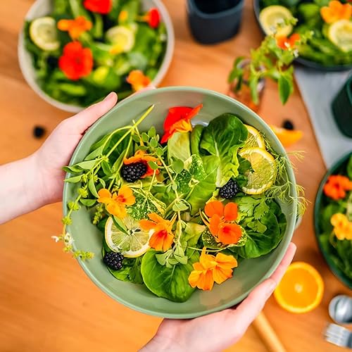 Miniatura 3 de Vego garden Tazón para servir ensalada, paquete de 2, verde oliva