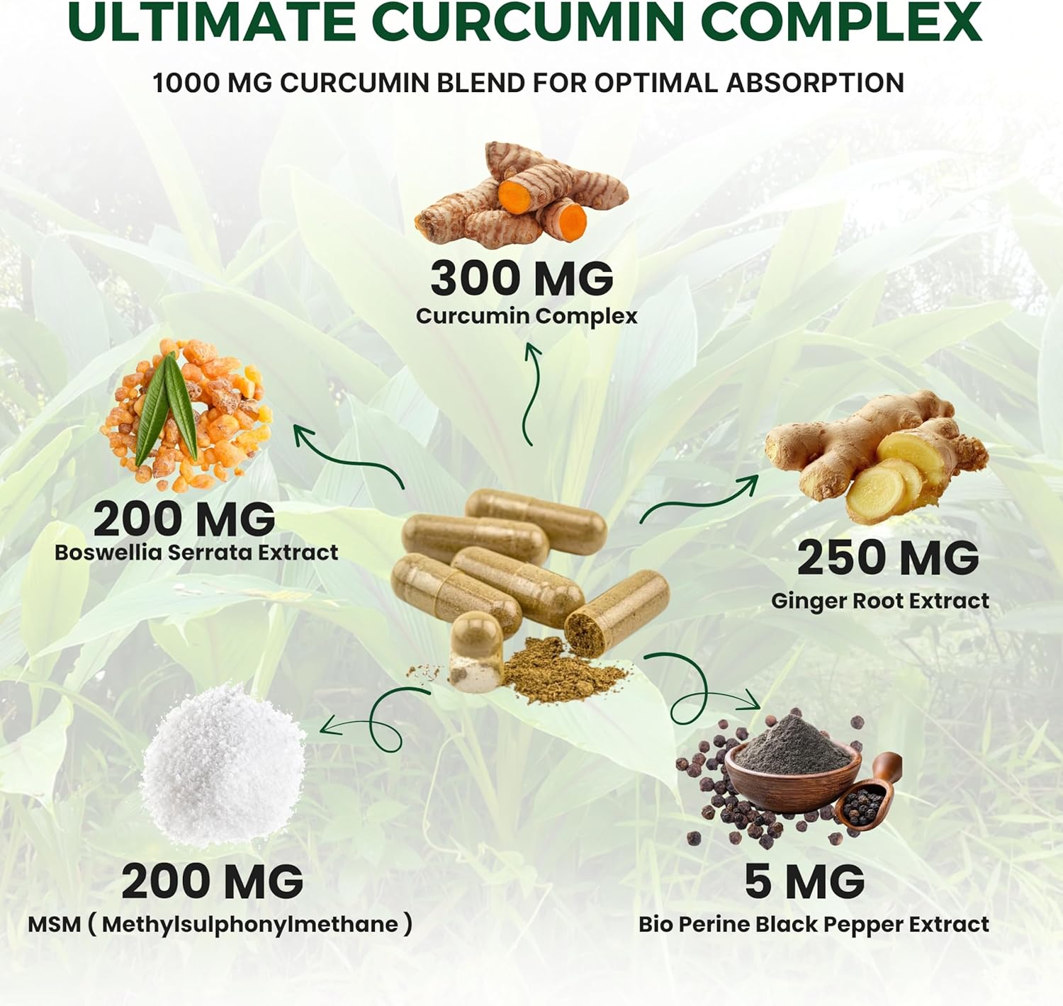 Curcumin Complex | 60 Veg Capsules Turmeric Extract with Boswellia, MSM & Botanical Blend Balanced Daily