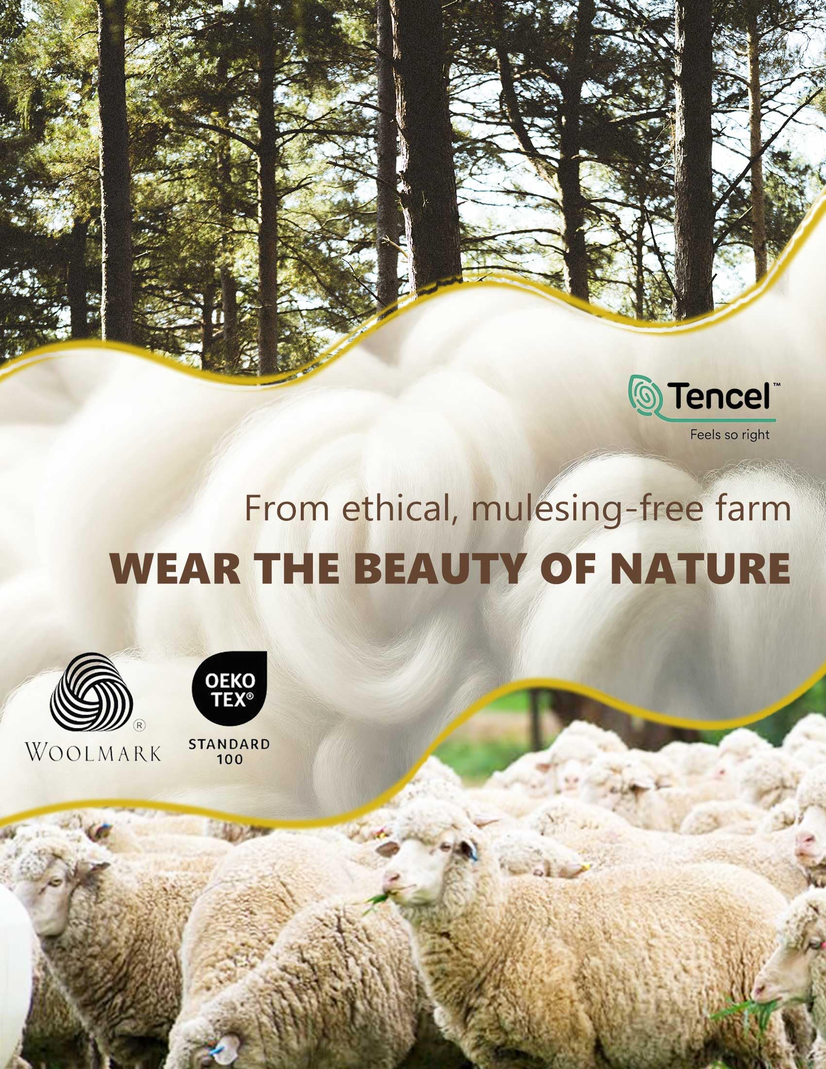 Merino Protect Chemise de base en laine mérinos et Tencel pour femme - T-shirt léger anti-odeur à manches courtes pour la randonnée
