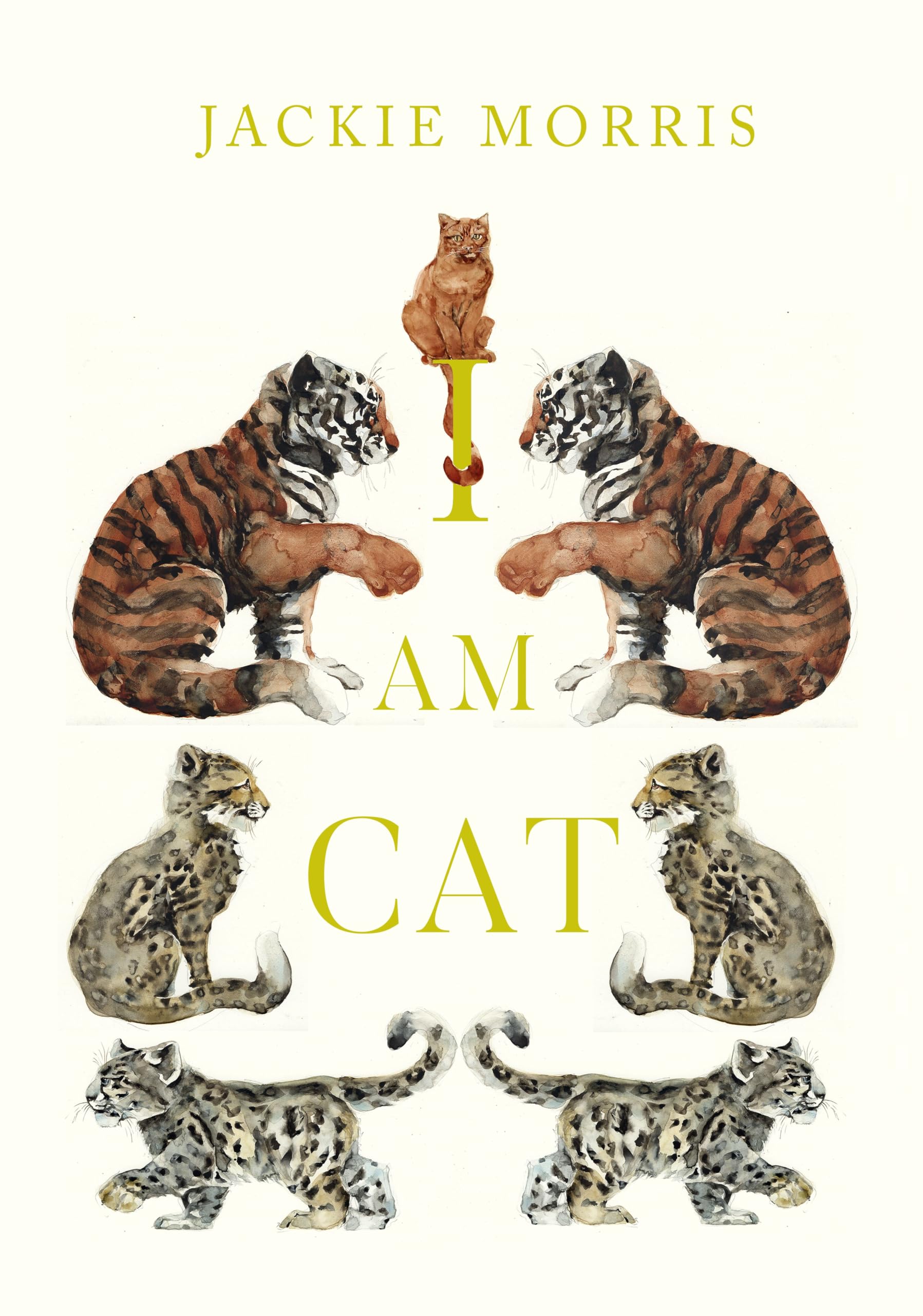 I Am Cat