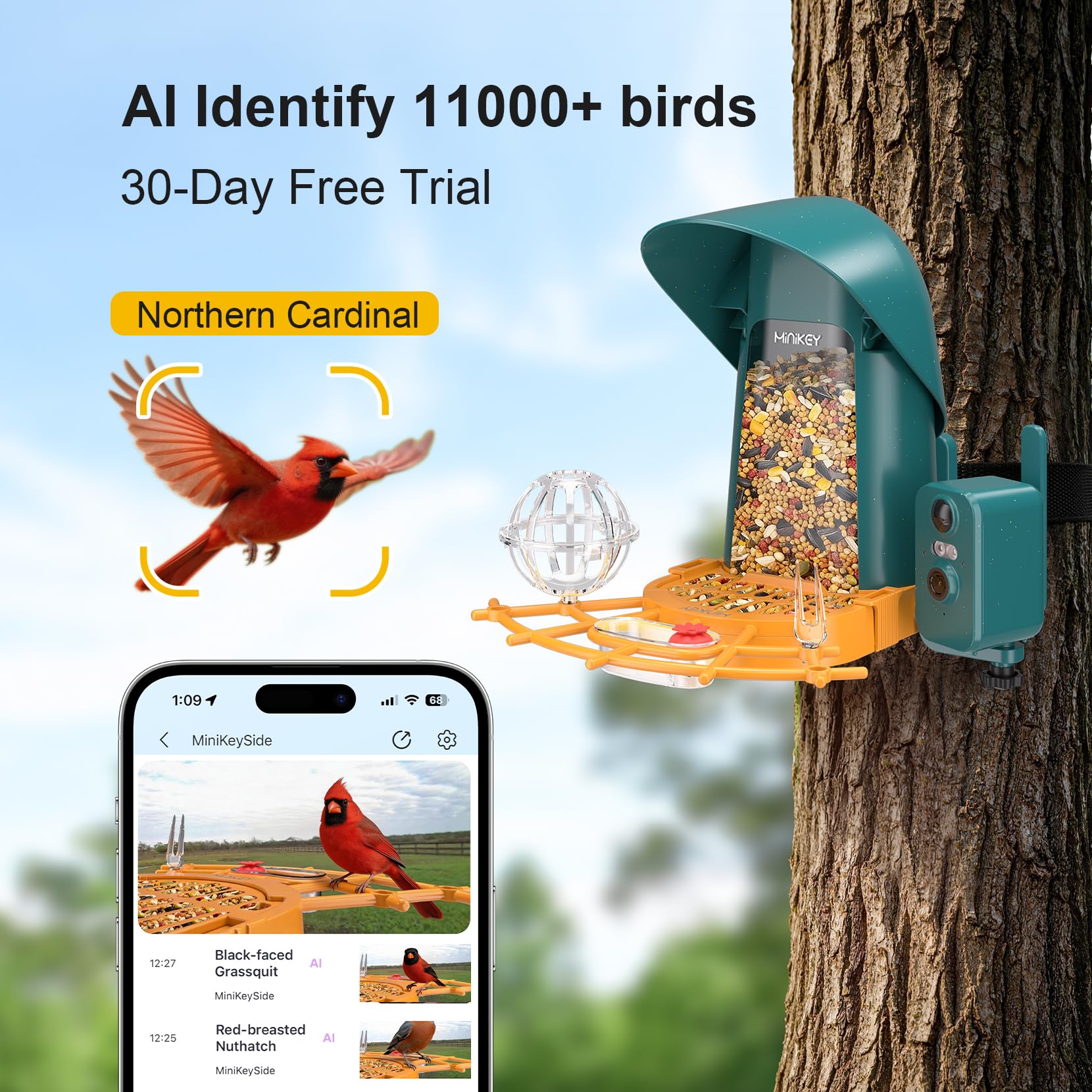 Smart Bird Feeder mit Kamera Outdoor Vogelhaus, 4MP Ultra HD & AI Identifizieren Sie 11000+ Arten, 2L große Kapazität, solarbetrieben mit App Ankunftswarnungen, ideale Vogelhausgeschenke für