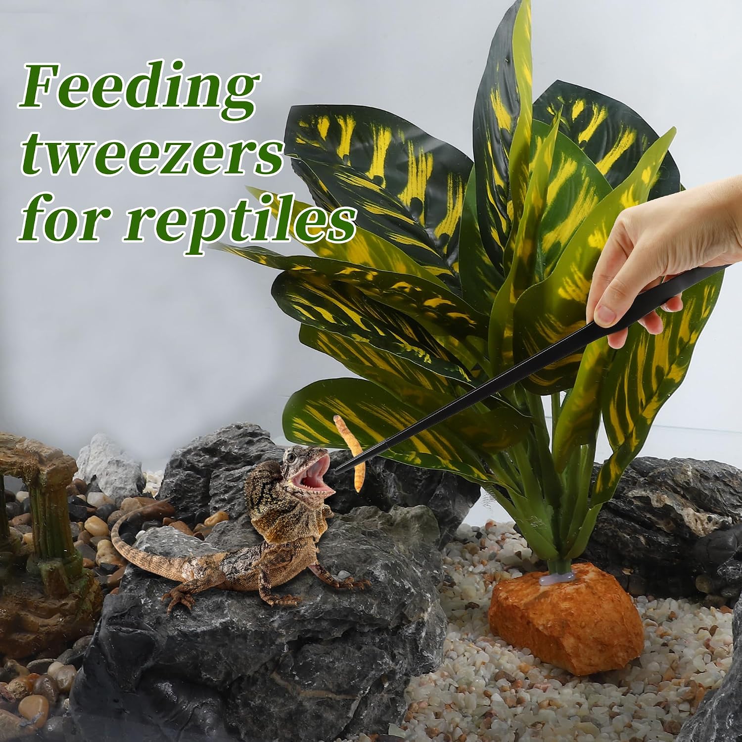 Reptile Feeding Tongs, Stainless Steel Lizard Feeding Tongs, Aquarium Straight Feeding Tweezers for Reptiles with Rubber Tip, Terrarium Feeding Tong for Gecko, 14.96" Length, Black