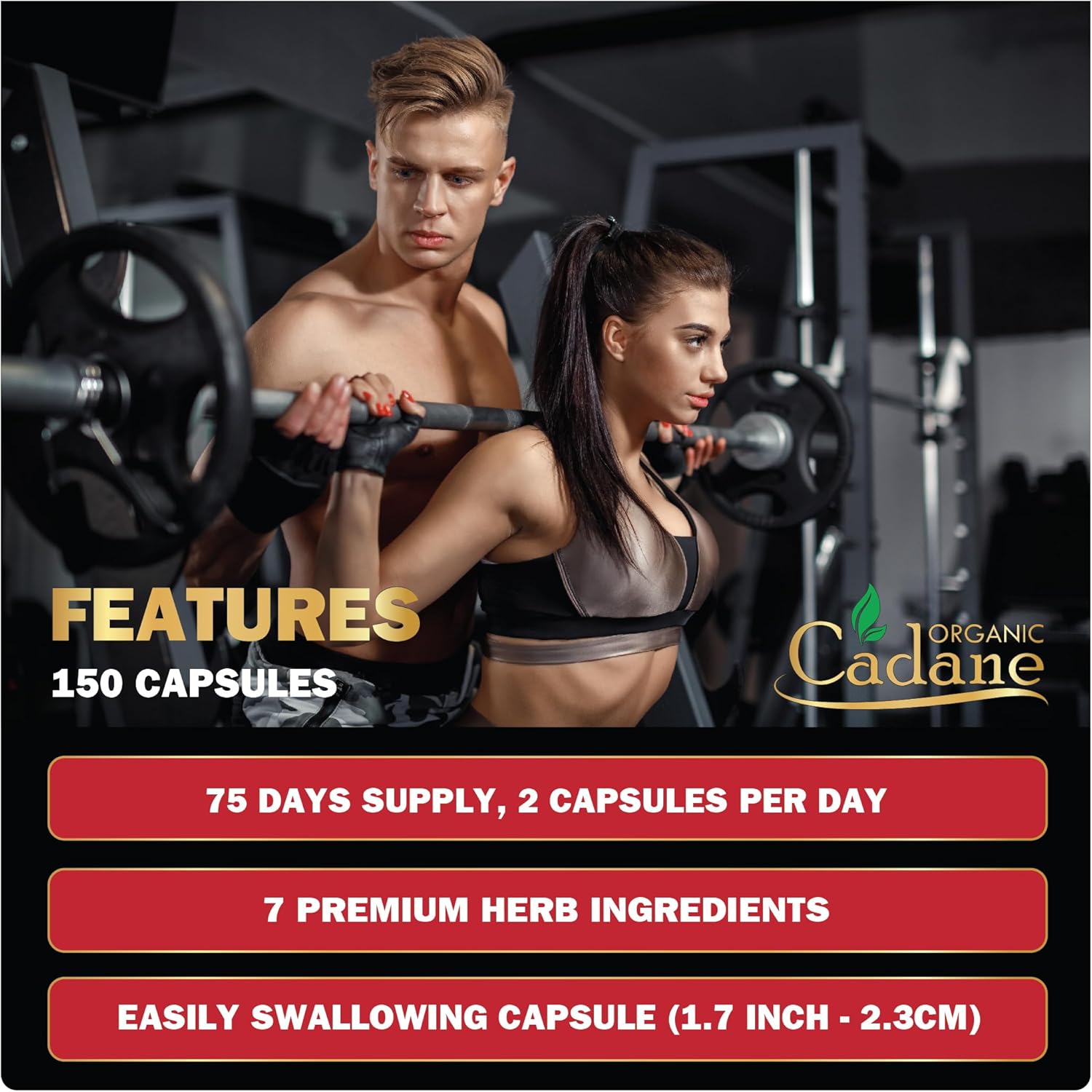 Cadane Berberine Extract - Berberine Supplement with Gymnema Sylvestre, Green Tea & More - 150 Capsules for Immune System, Digestion Health Support - Image 6
