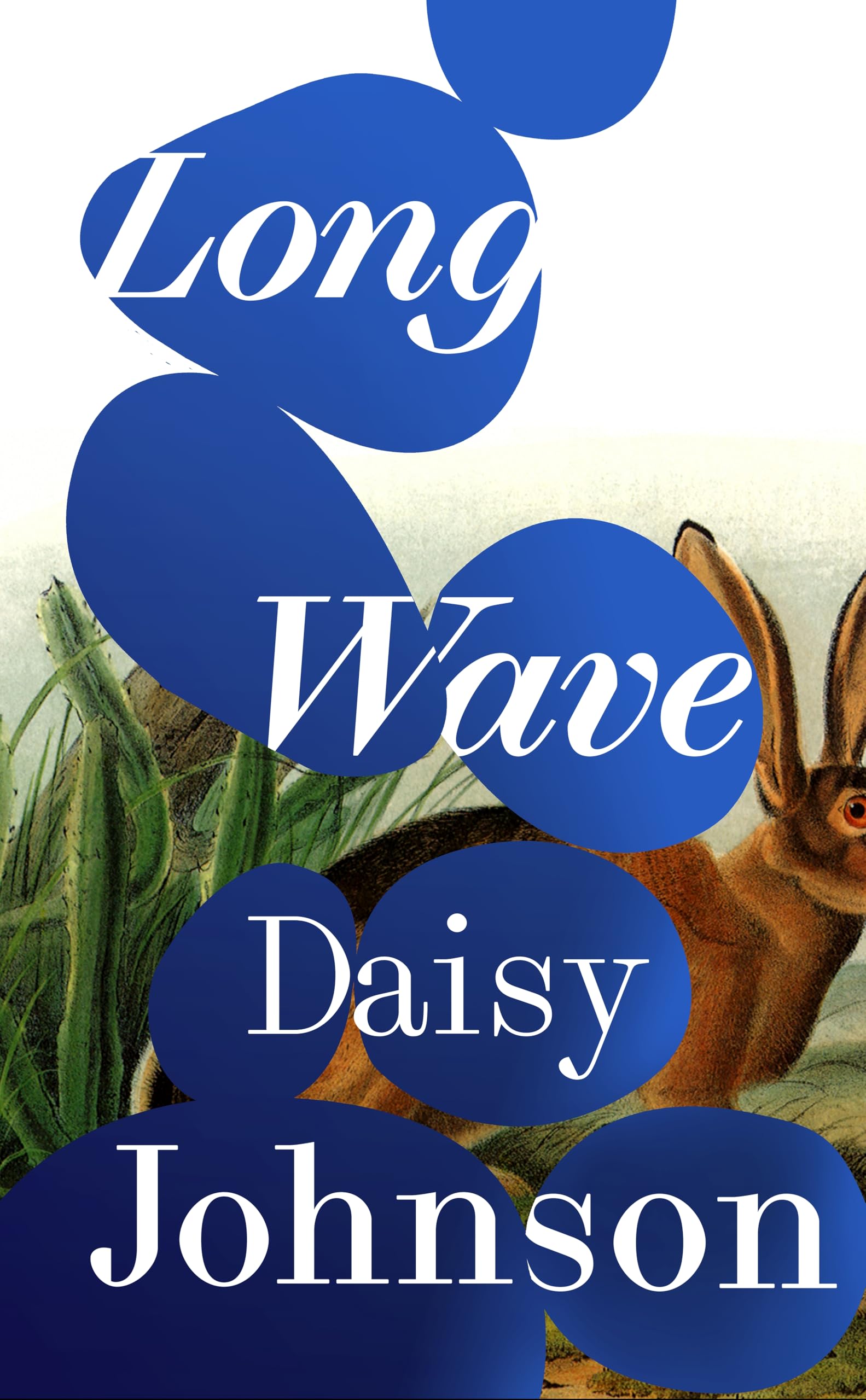 Long Wave: The extraordinary new novel from Booker Prize-shortlisted Daisy Johnson