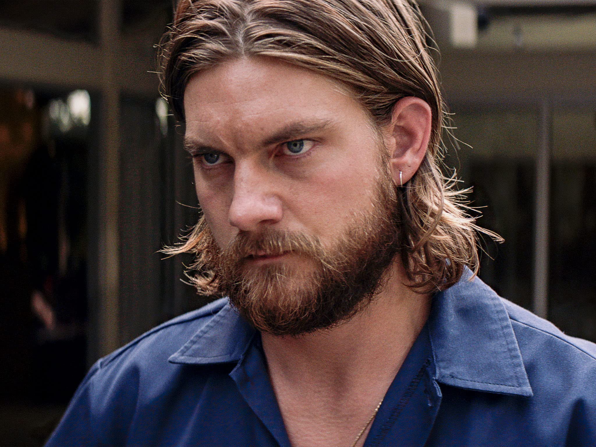 Amazon.de Animal Kingdom Season 5 ansehen Prime Video