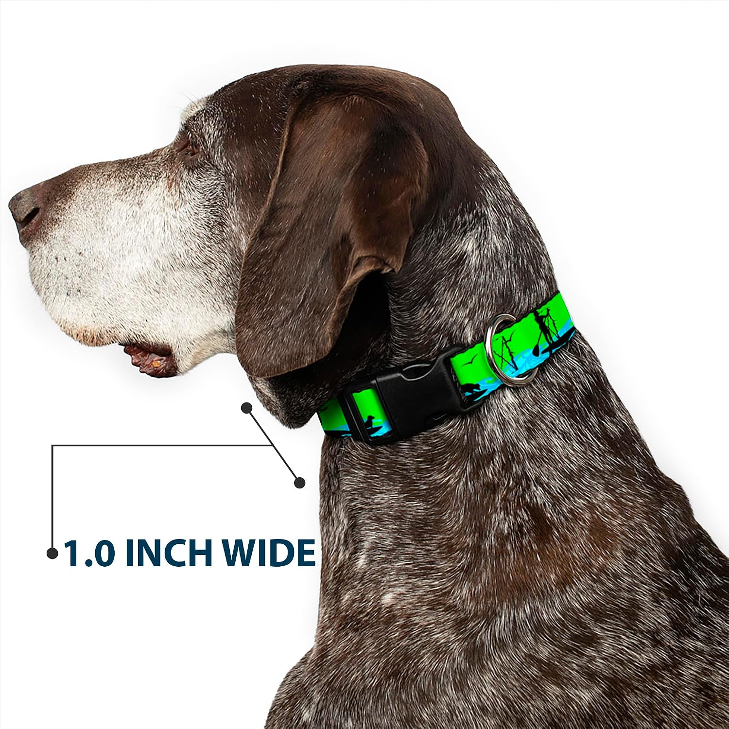 Buckle-Down Sup with Dog Neon Green/Blues/Black Plastic Clip Collar, 1.5" Wide-Fits 18-32" Neck-Large