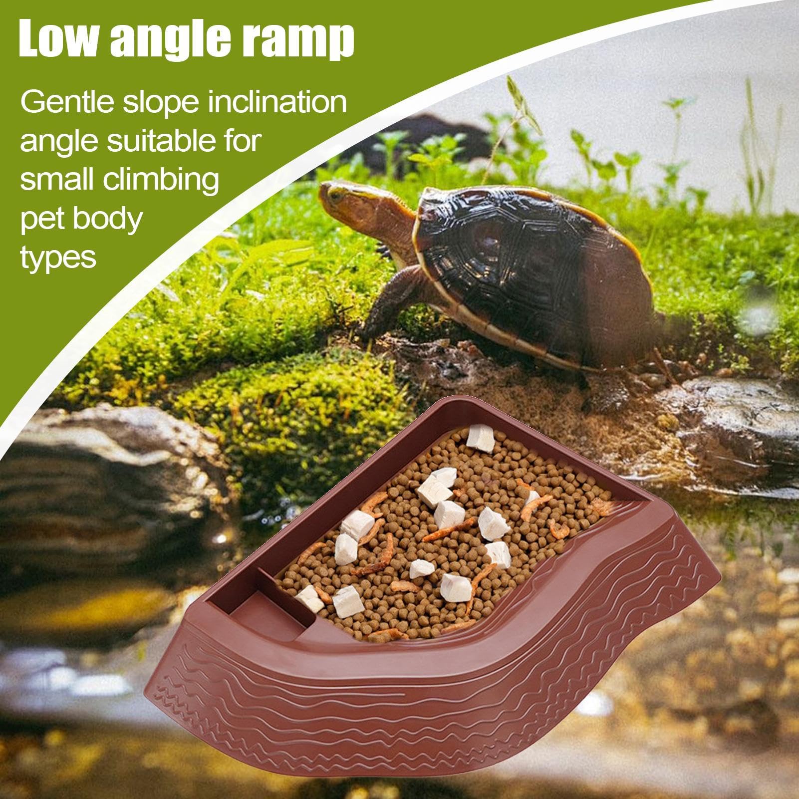 Tortoise Food Dish, Tortoise Tank Accessories, Small Reptile Bath Dish, Reptile Pool for Water, Double-Layer Anti-Lifting Food Bowl for Terrarium, Feeding, Bathing, Soaking, Basking