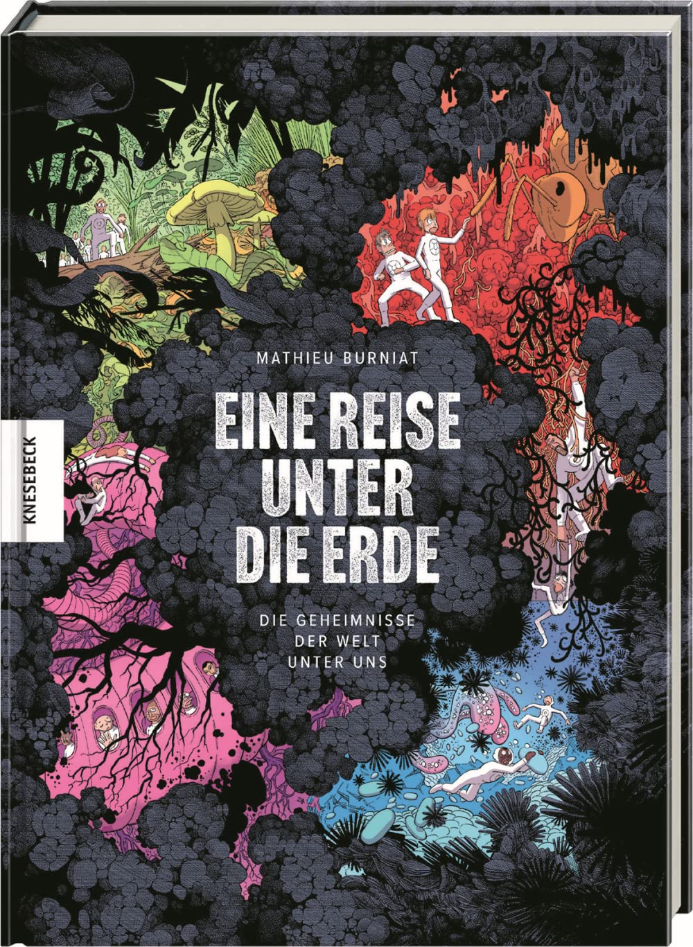 Eine Reise unter die Erde: Die Geheimnisse der Welt unter uns. Graphic Novel