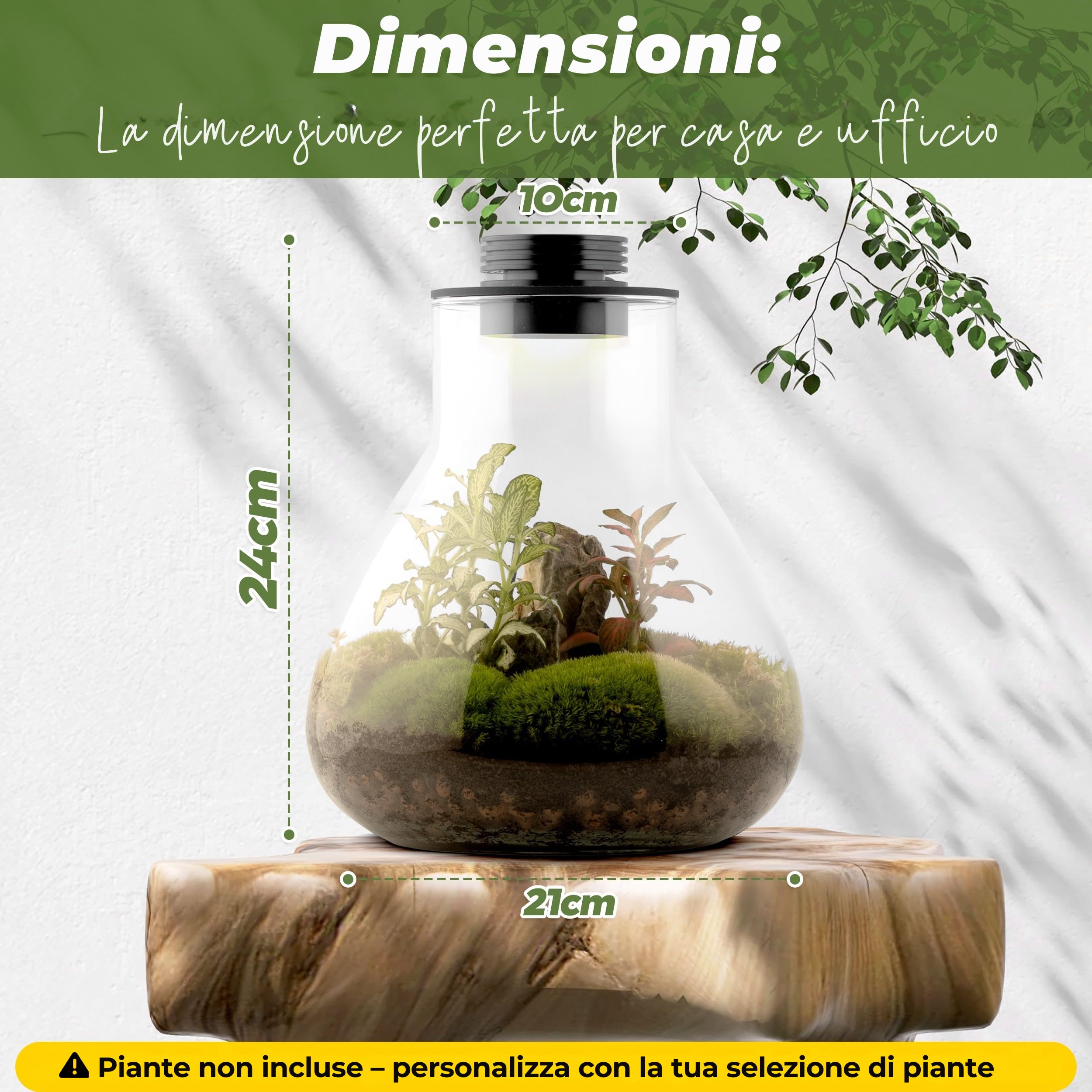 Kit terrario per piante Kit di strumenti contenitore in Borosilicato & luce LED intelligente