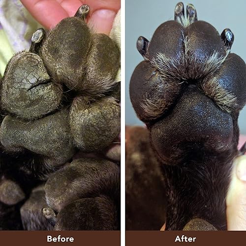 Miniatura 7 de Natural Dog Company Palo para chupete de patas natural orgánico curativo para mascotas chupete de piel de perro para patas secas agrietadas y
