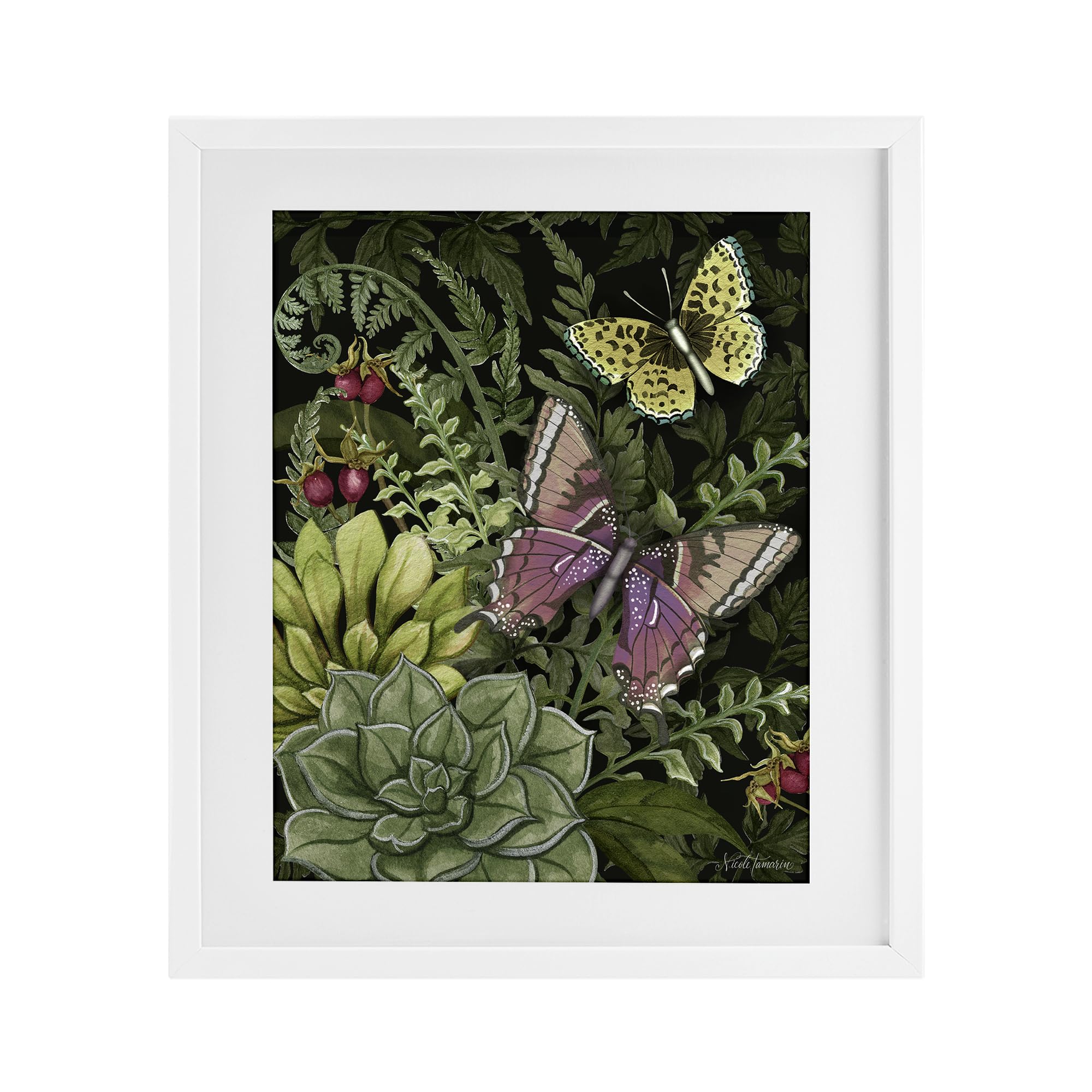 'Dark Succulents Midnight Garden'| Framed Print Under Glass