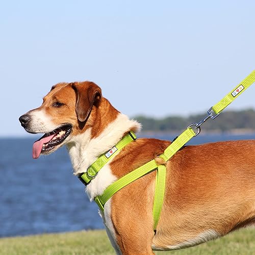 Miniatura 8 de Pawtitas Arnés Reflectante Step-in para Perro  Chaleco Ajustable Anti-tirones para Cachorros a Adultos Mayores, Seguro y Cómodo, M Negro