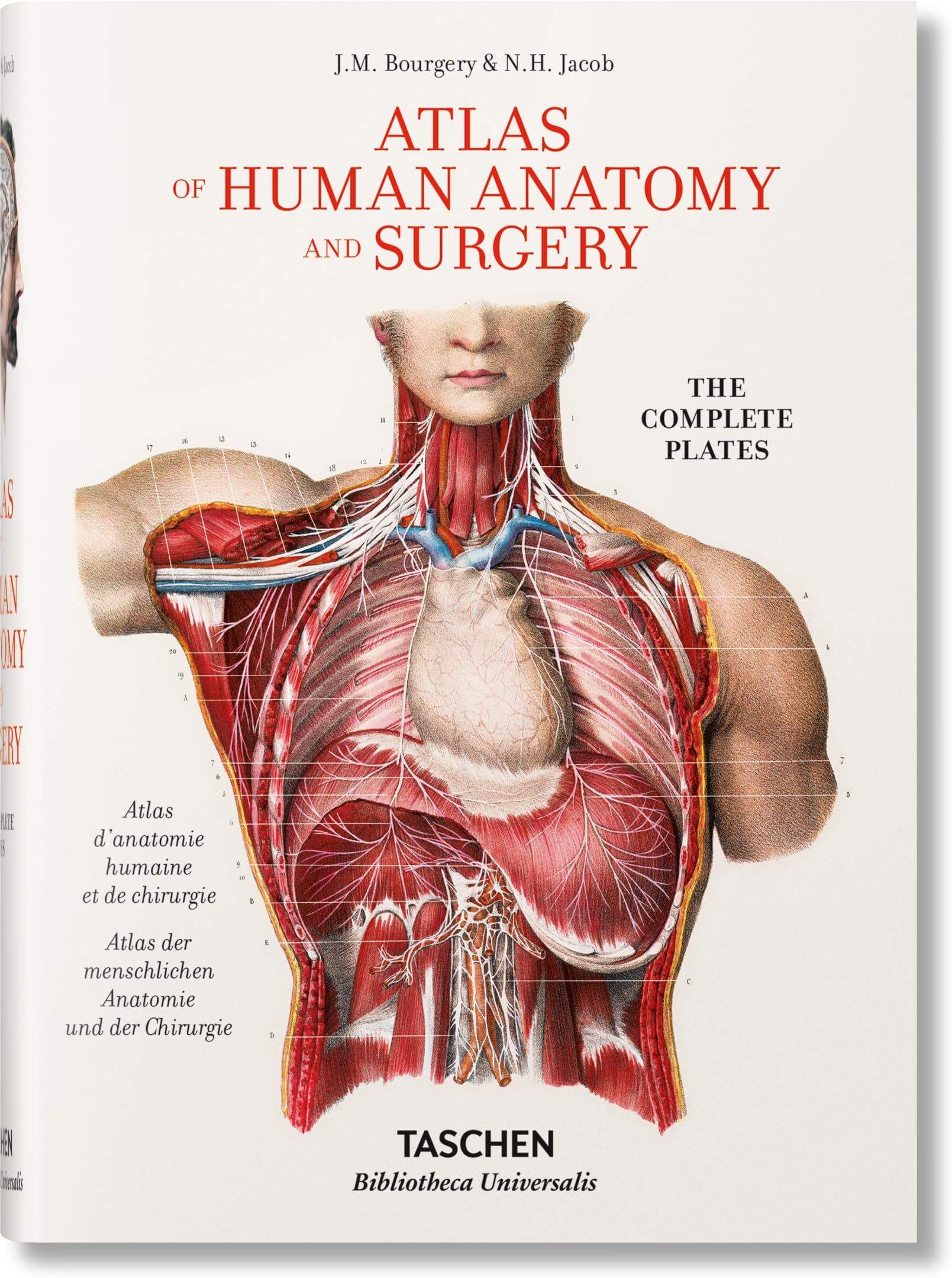 Bourgery: Atlas de anatomía humana y cirugía (Bibliotheca Universalis)