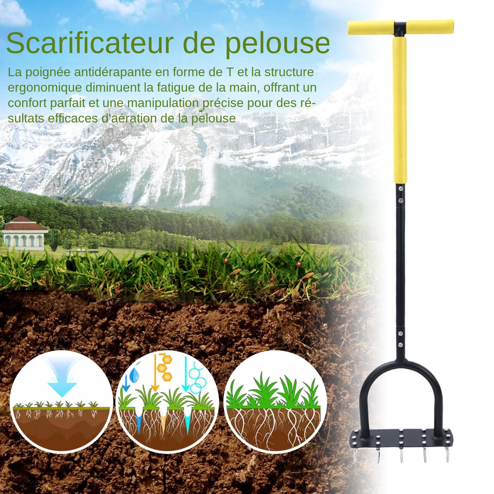 Aérateur De Pelouse Scarificateur Démousseur À Gazon Avec Manche En T
