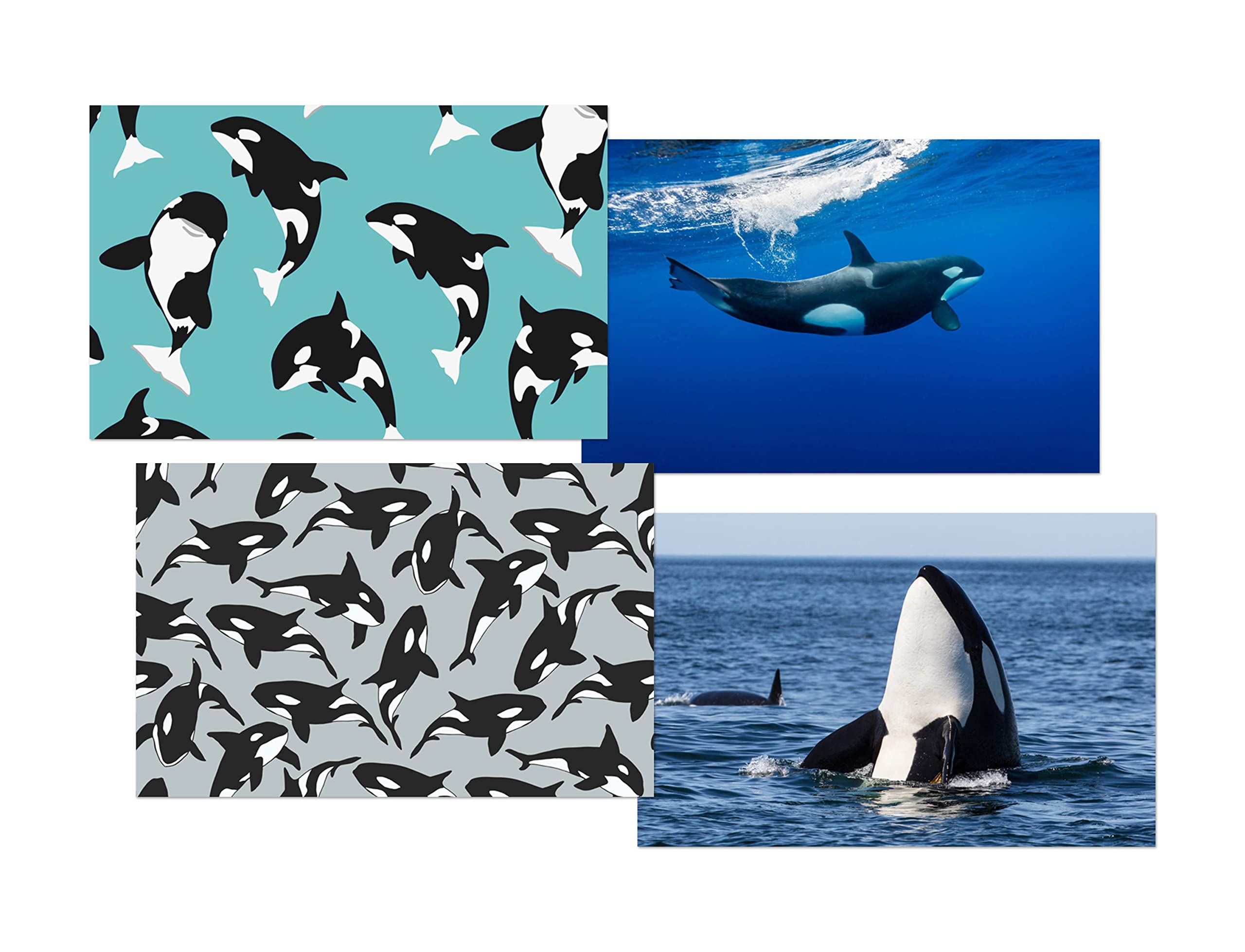 DV DESIGN Set of 4 Orca Whale White Ballpoint Pens - Animal Sea Creature Scuba Themed Boys Girls Men Women Pen #79591 - Image 2