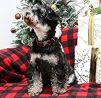 Vista 266 de Unique Style Paws - Collar rosa con hebilla de metal, duradero y lindo para perros pequeños a grandes