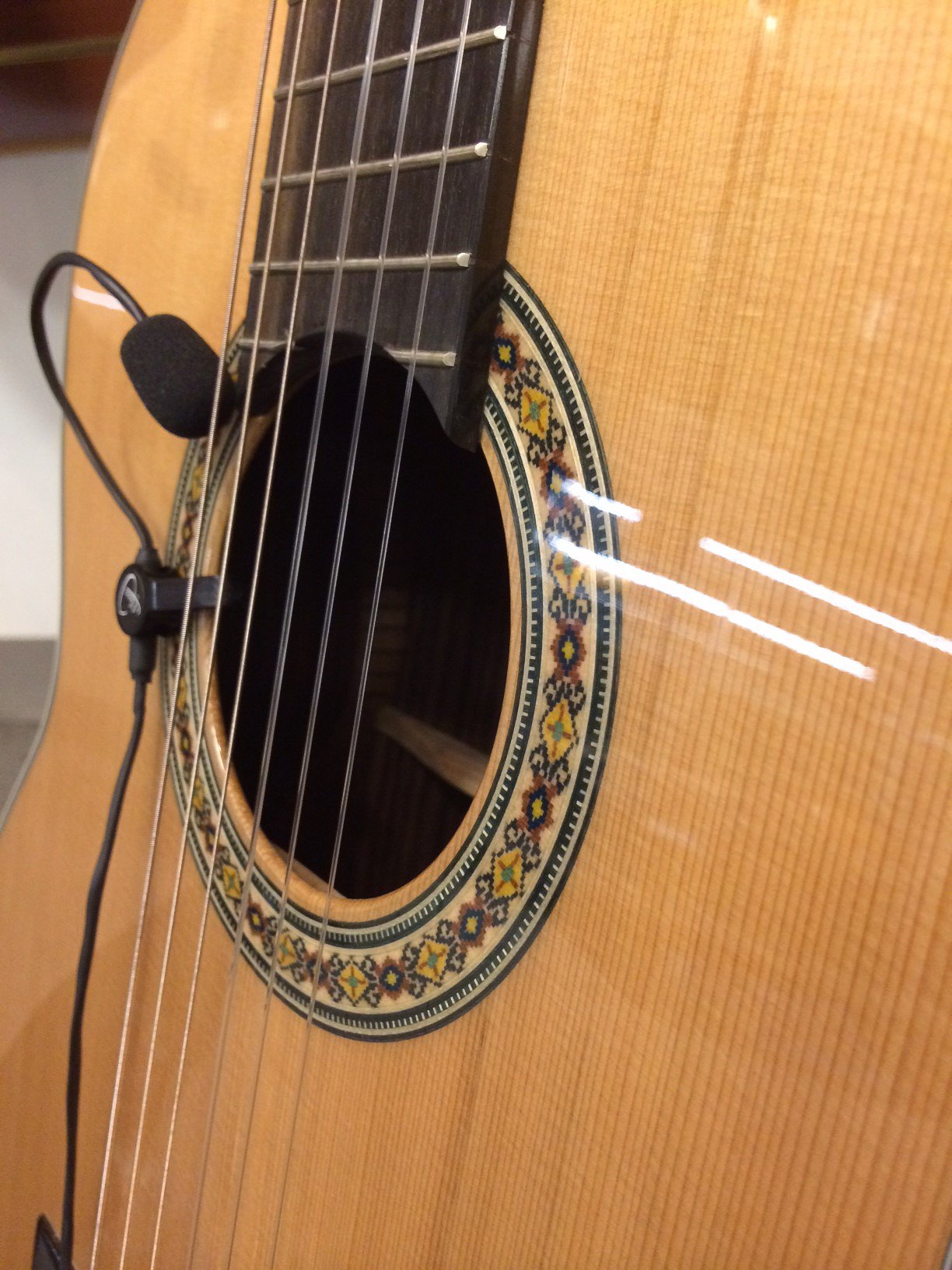 Myers Pickups The Feather Gypsy Jazz Microphone with Flexible Micro-Gooseneck