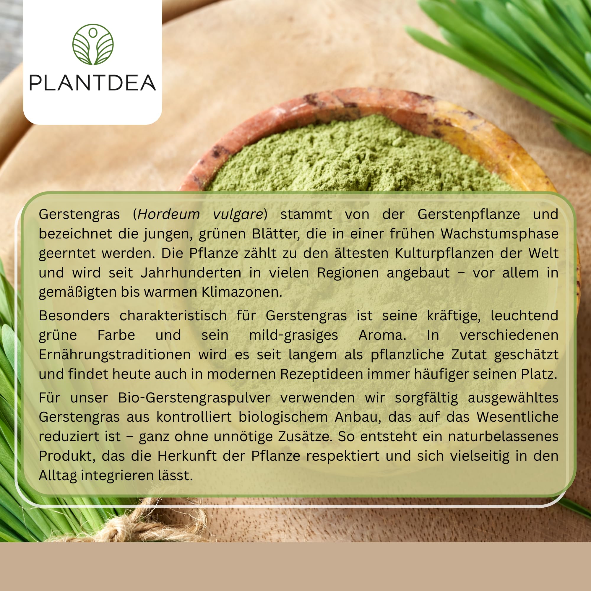 PlantDEA Bio Gerstengraspulver 1 kg – junges Gerstengras, fein vermahlen, vegan & glutenfrei – ideal für Smoothies, Säfte & Shakes – Rohkostqualität – ohne Zusätze