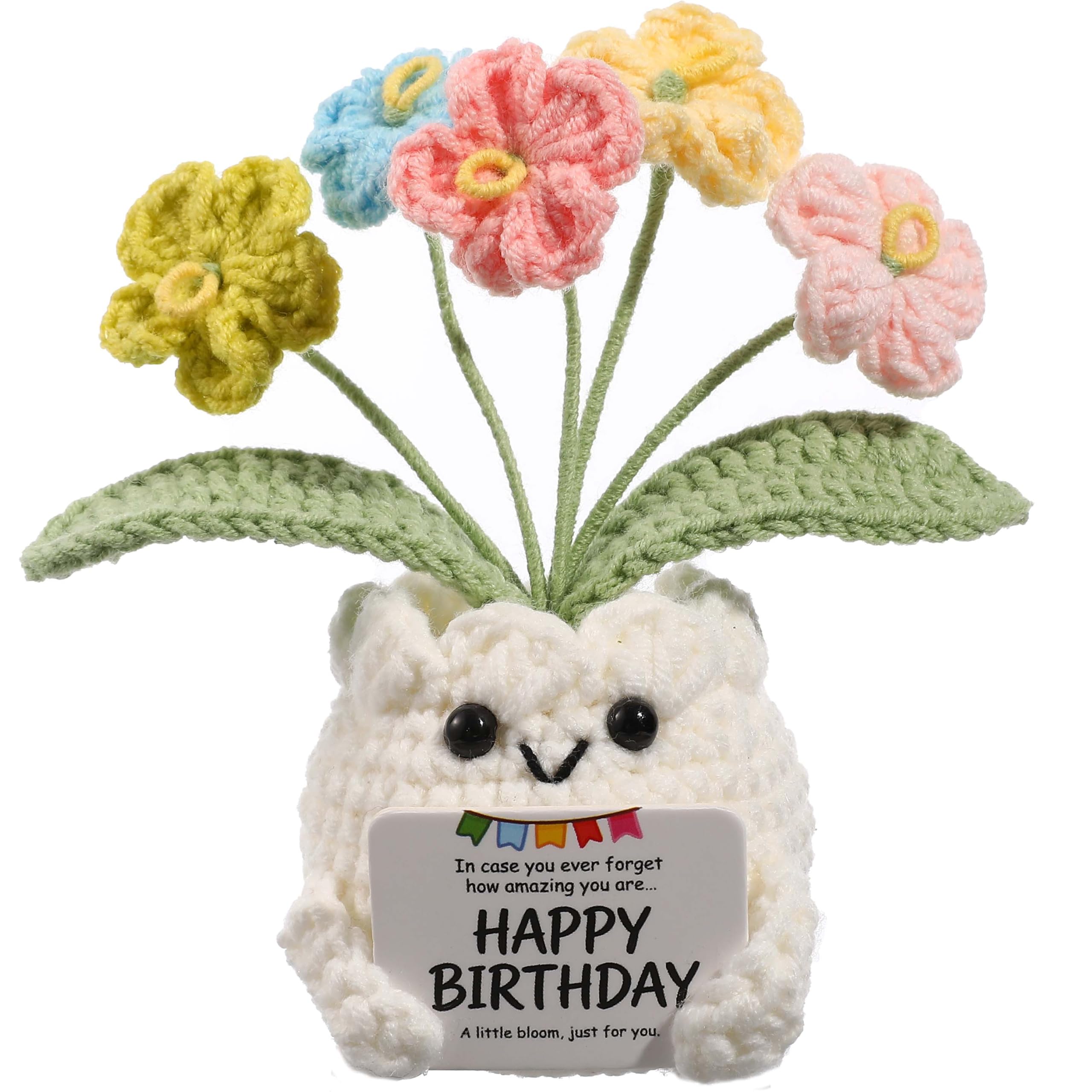 Crochet Forget Me Not Flower Pot Birthday Gifts for Women