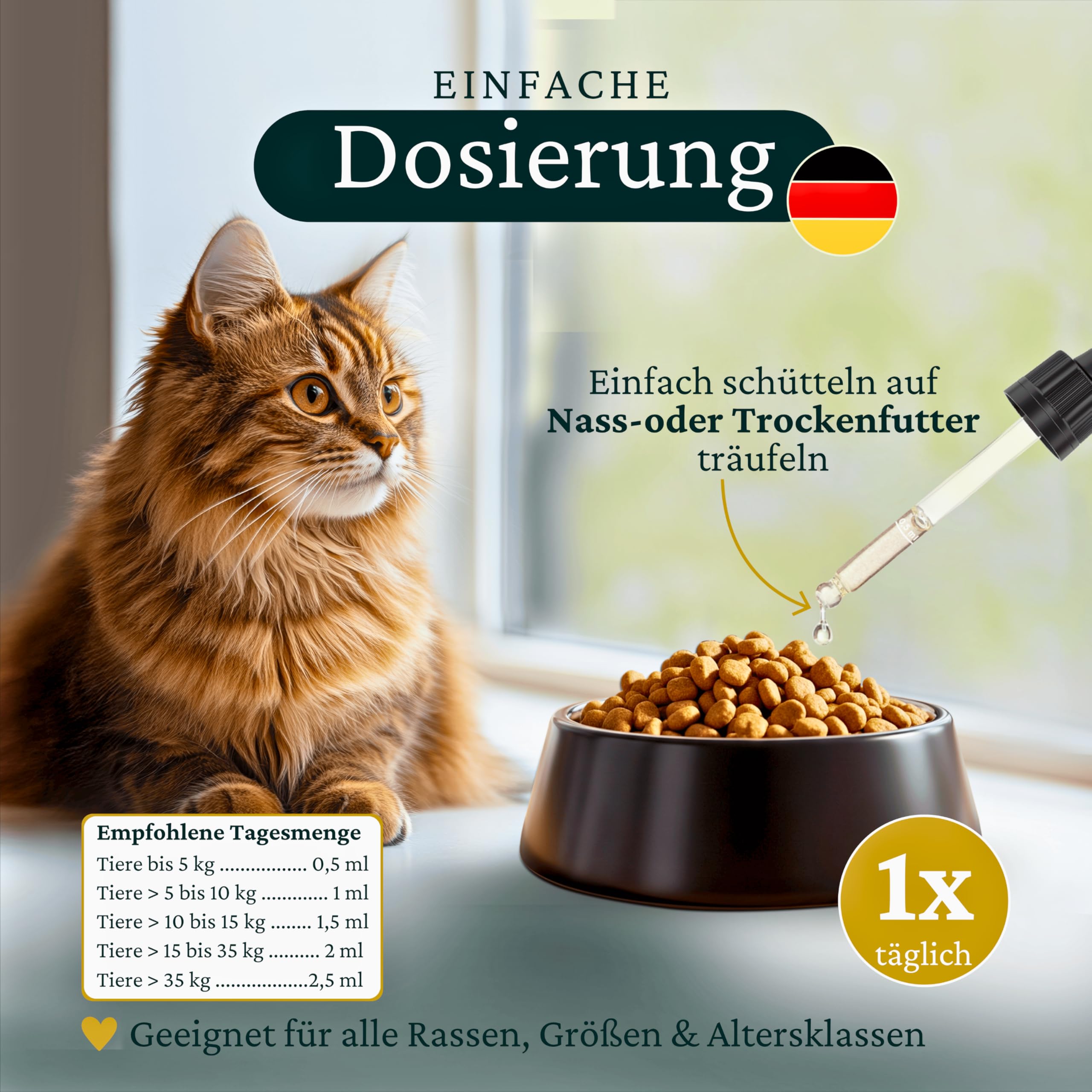 Probiotika für Hunde und Katzen – 100% Bio Tropfen 50 ml – Flüssiges Probiotikum für Darmflora Aufbau und Verdauung bei Haustieren – Probiotisches Einzelfuttermittel – Petbiotika
