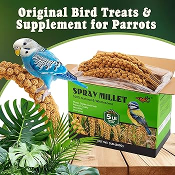 ☆millet☆ Amazon.com : Millet for Birds 1.2LB, Natural Sun-Dried Spray