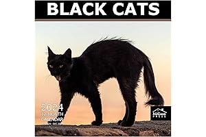 MICASA Black Cats 2024 Wall Calendar: Marvelous & Mysterious Kitties