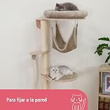 Ver la foto 3