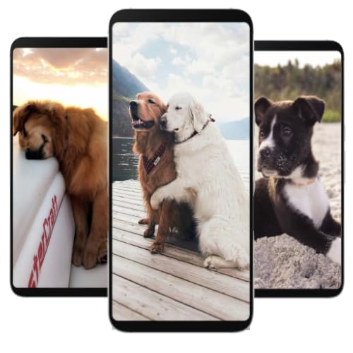 4K puppy wallpapers