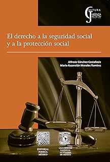 El Derecho a la Seguridad Social y a la Protección Social (Spanish Edition)