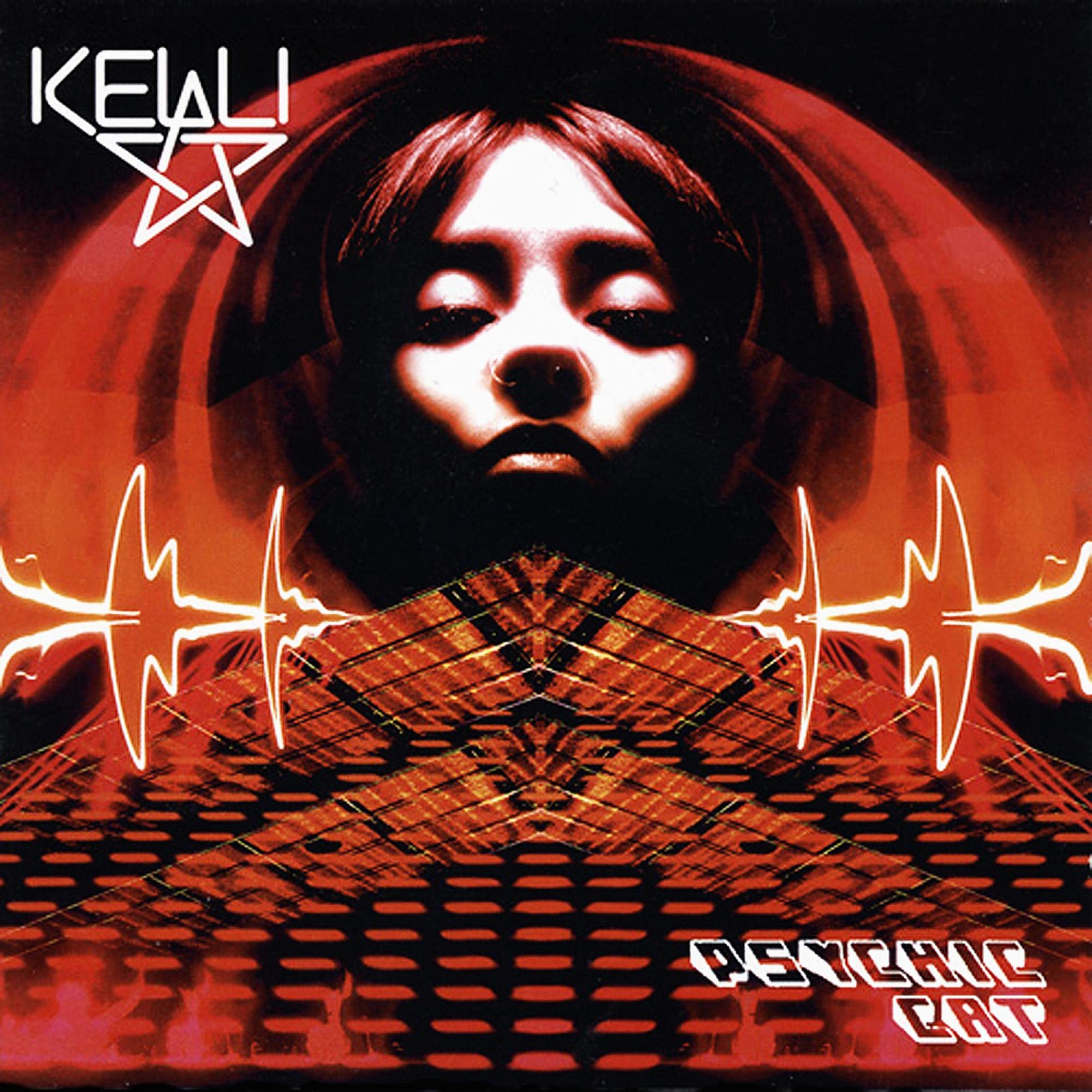 Psychic Cat [Audio CD] Ali, Kelli