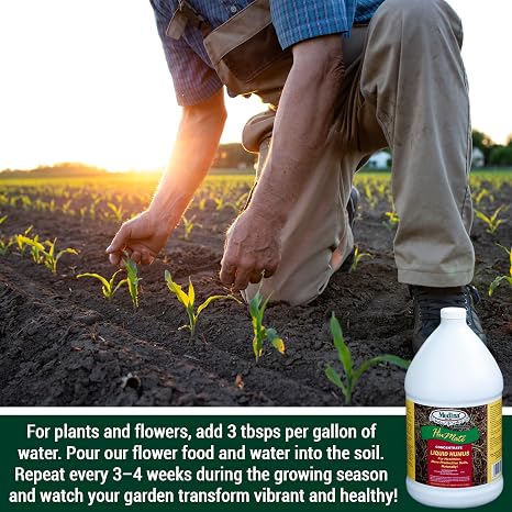 Medina Humate Liquid Humic Acid for Plants, 1 Qt, Covers 2000 Sq Ft