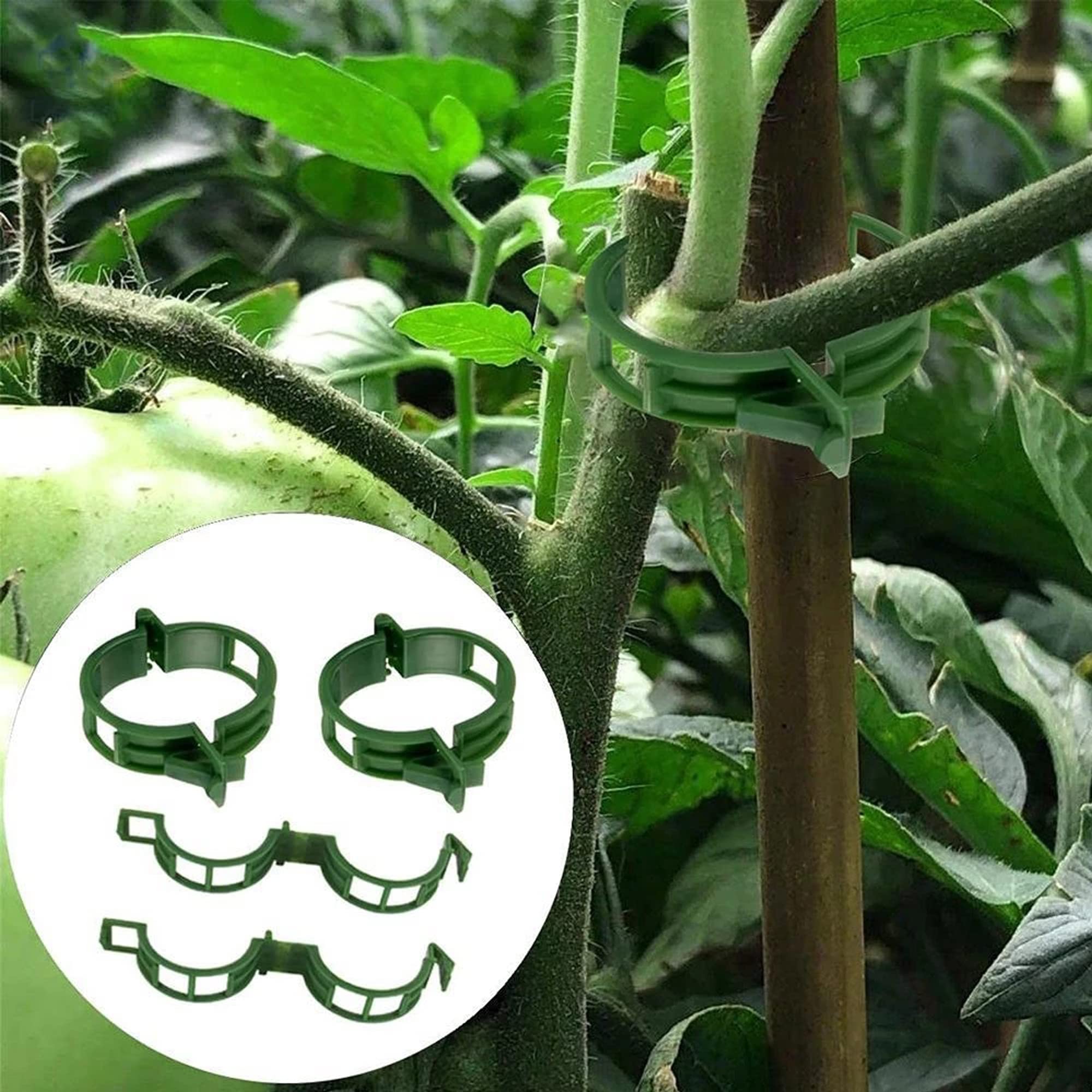 200 Piezas Clips Tomateras Jardín Plant Clips Pinzas para Plantas Lips de Fijacion Conectan Tomate Clips de plástico Pinzas de Vine Clips de Vine Planta para Guiar Plantas de Huerto y Jardín, Verde