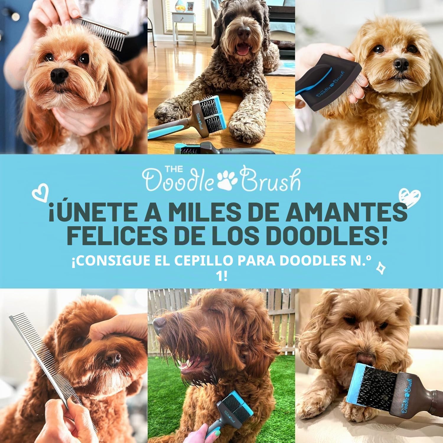 The Doodle Brush Cepillo Para Perros Doodles Con Un Doble Cabezal Goldendoodles, Labradoodle y Bernedoodle, Desenreda Pelo Largo y Rizado Kit De Aseo Para Perros Cepillo Alisador Para Erros