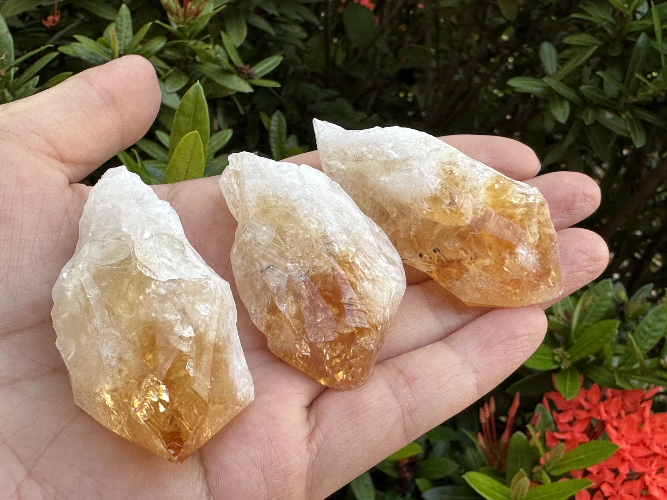 GAF TREASURES Extra Large Citrine Point, Natural Citrine Point, Citrine Point Healing Crystals (Citrine Point, 1-2 oz)