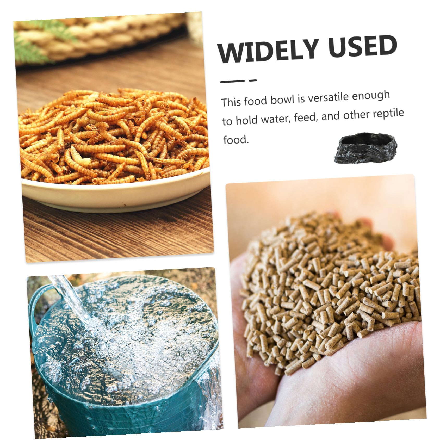 Ciotola Acqua Rettili Decorativa Antiribaltamento per Lucertole Tartarughe e Piccoli Rettili Alimentatore Stabile e Facile da Pulire per Terrario