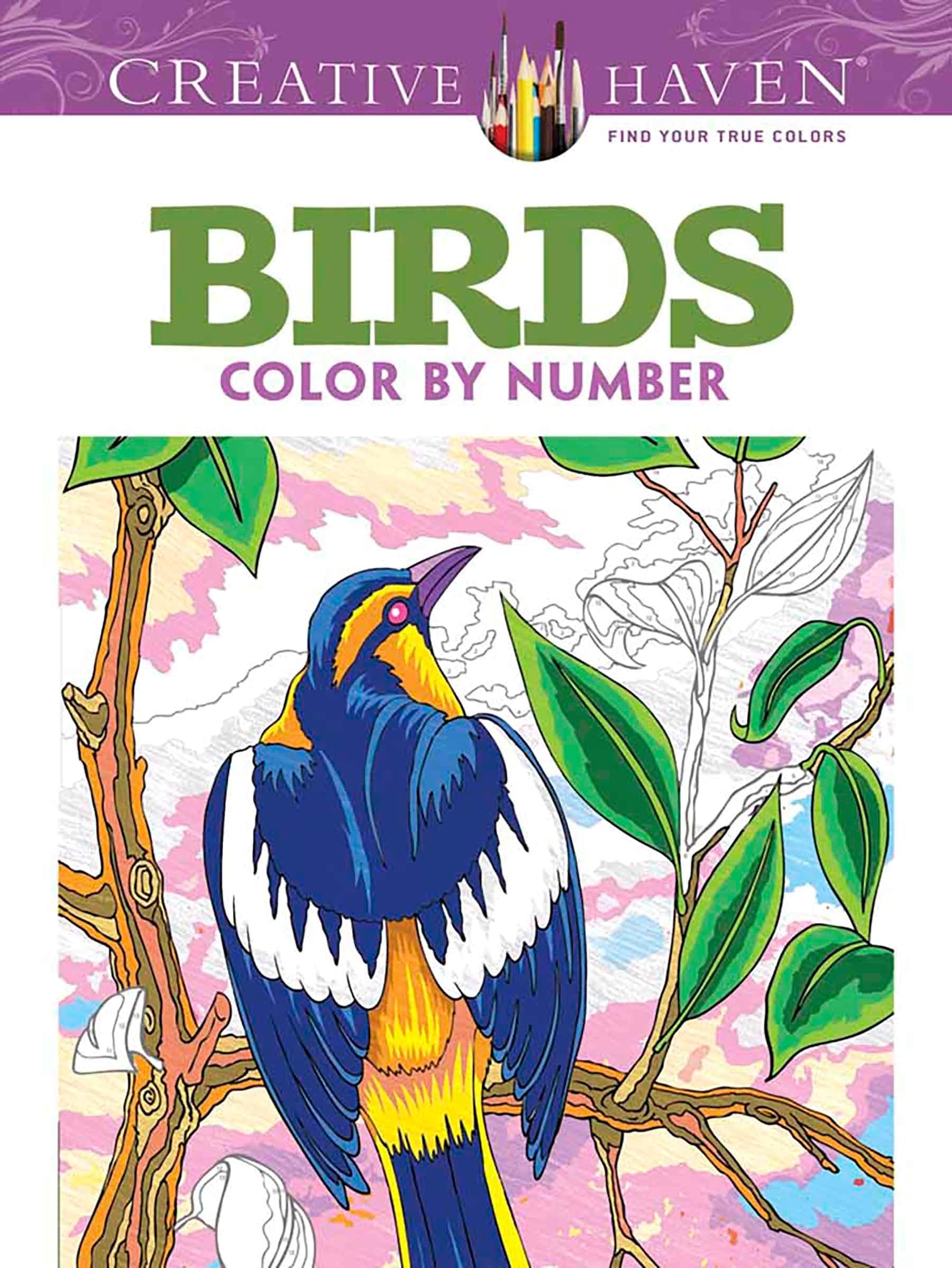 Creative Haven Birds Color by Number Coloring Book: Writing, Skinship, Modern Japan