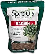 Nature Jims Radish Sprout Seeds – 16 Ounce Organic Sprouting Seeds – Non-GMO Premium Radish – Resealable Bag for Longer Freshness Rich in Vitamins, Minerals, Fiber