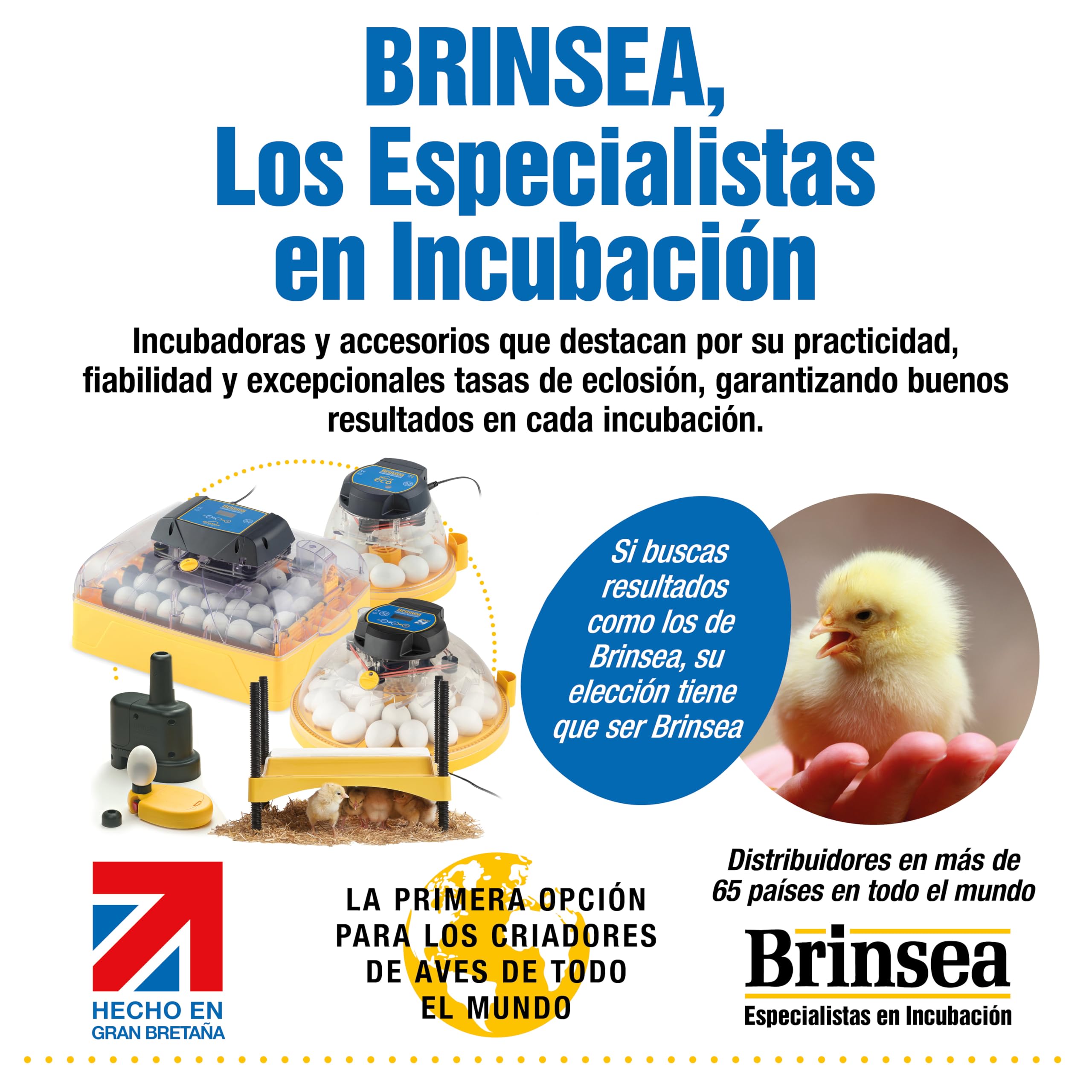 Incubadora Brinsea Maxi 24 EX Connect – Incubadora para 24 huevos de gallina con control completo mediante aplicación móvil.