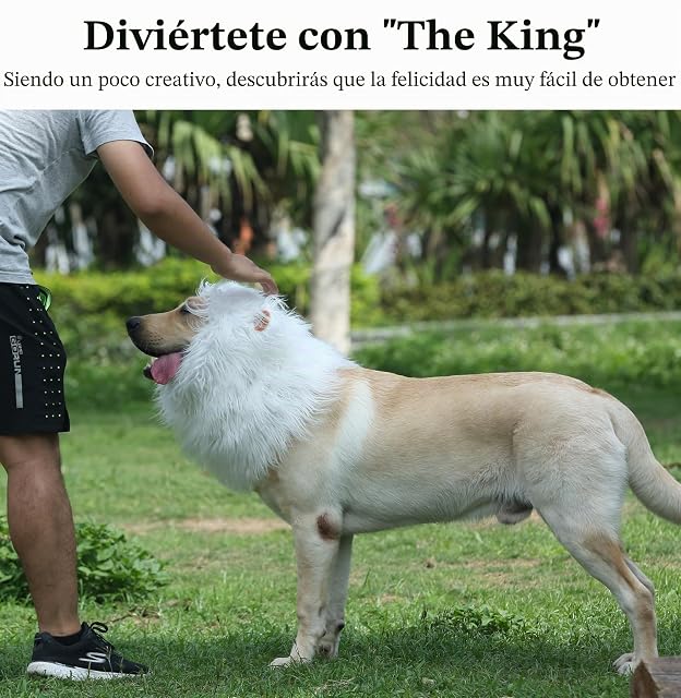 Foto 6 de 6 de Onmygogo Peluca de Melena de león para Perros con Orejas, Divertidos Disfraces para Mascotas para Halloween