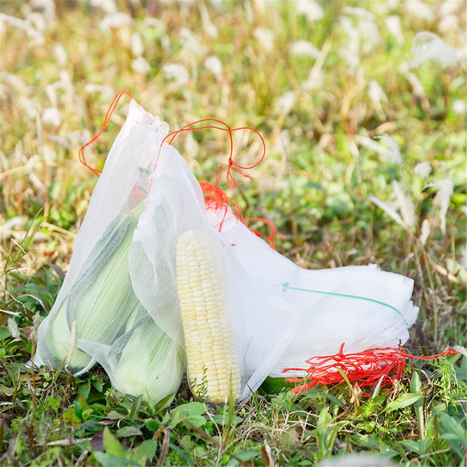 Large Size Fruit Protection Mesh Bags,20Pack Garden Plant/Fruit/Flower Protect Protect Drawstring Net Barrier Bag (21.5"x14")