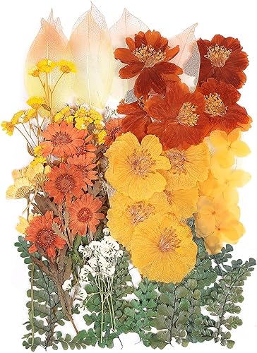 Miniatura 8 de 100 piezas de hojas verdes prensadas secas reales, herbario de plantas naturales para bricolaje, moldes de resina, fabricación de joyas y