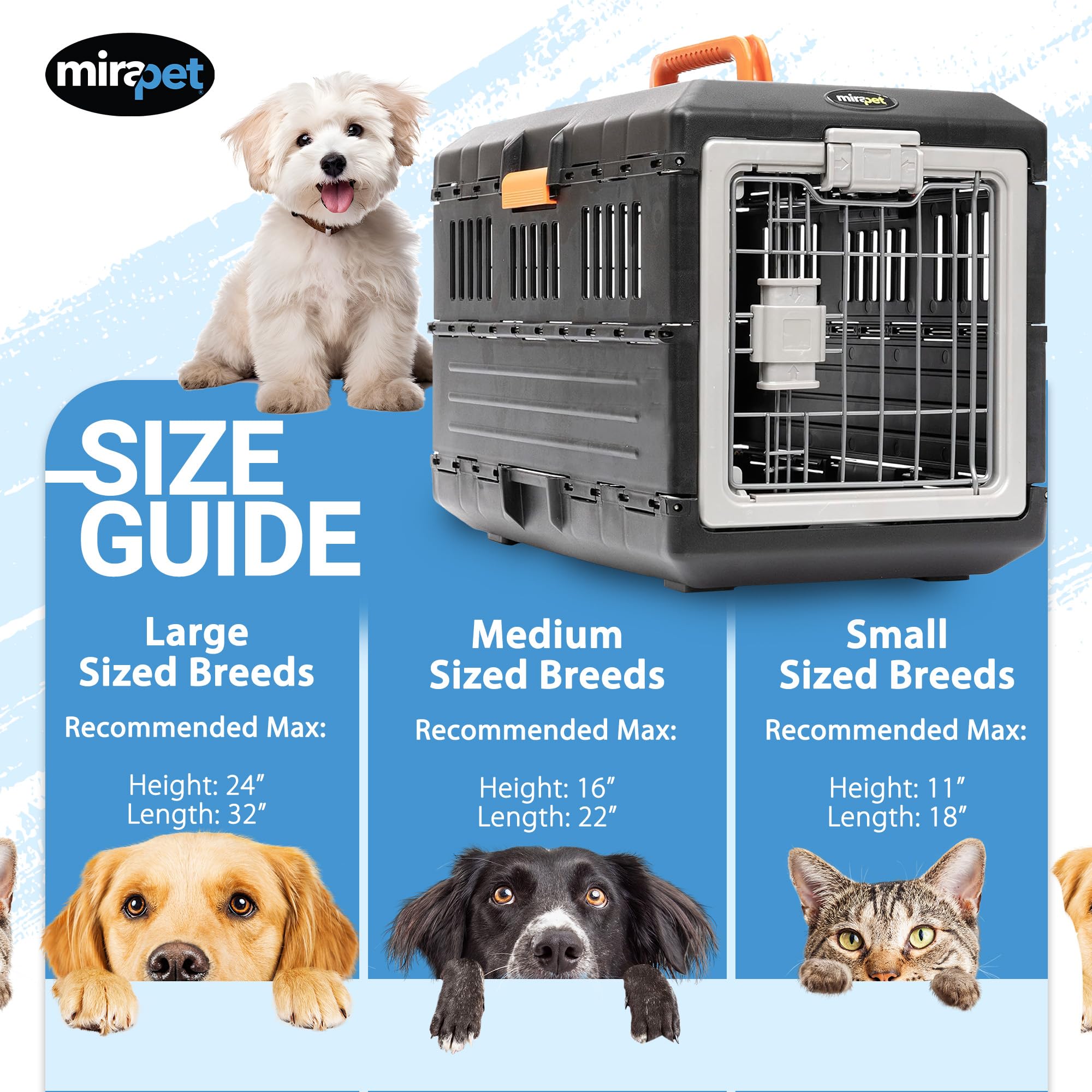 Amazon.com : Mirapet Collapsible Pet Carrier for Small Cats & Dogs