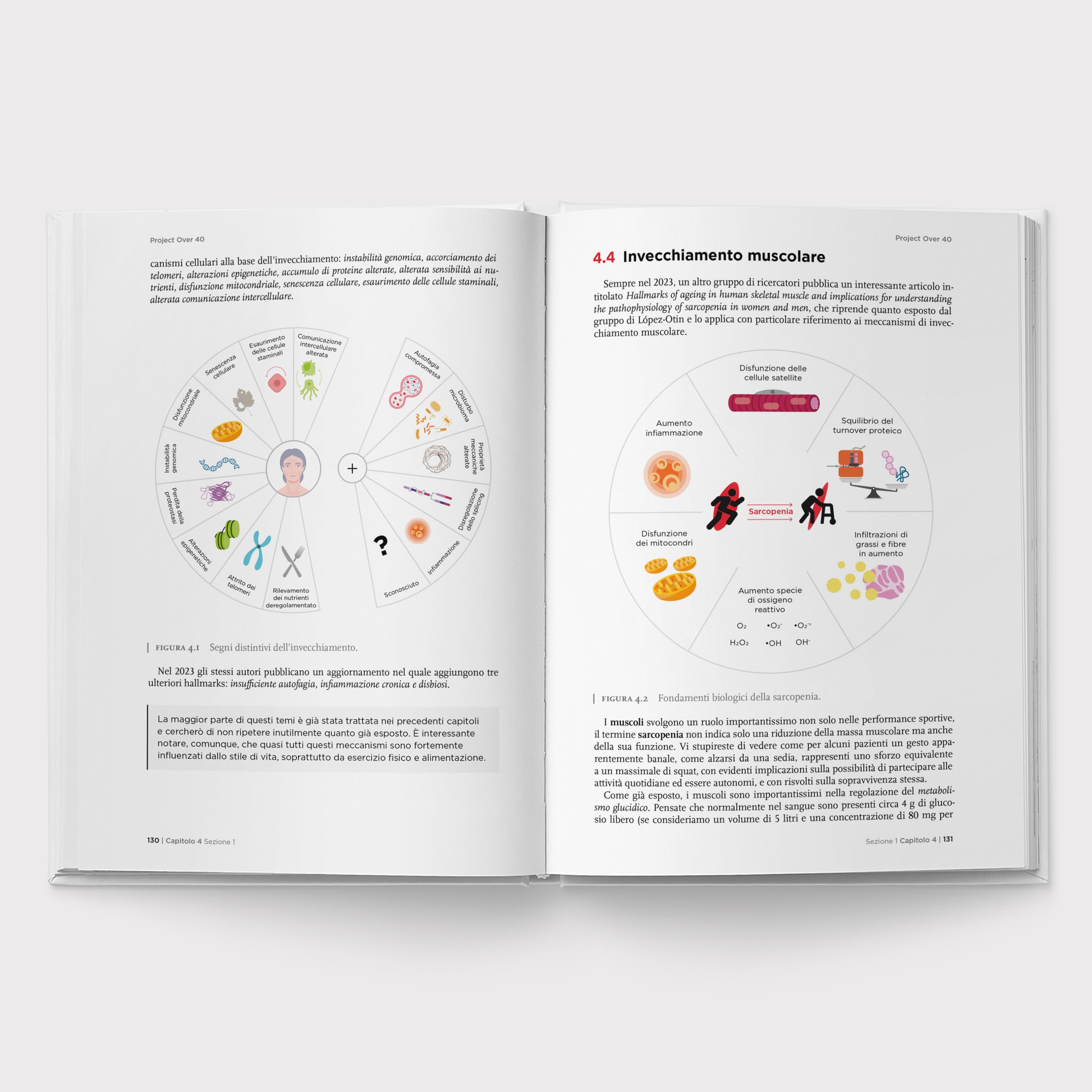 Project Over 40 - Allenamento e Alimentazione
